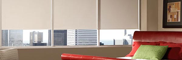 ROLLER SHADES | BLINDSTER.COM - BLINDS, WINDOW BLINDS, WINDOW