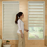 Zebra Light Filtering Dual Sheer Shades