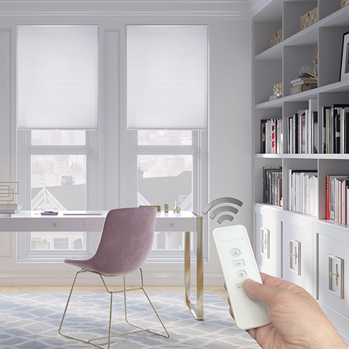 Remote blinds online
