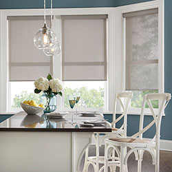 Essentials Solar Shades: 5% Openness