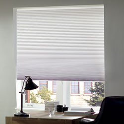 Classic Cordless 3/4" Single Cell Blackout Shades