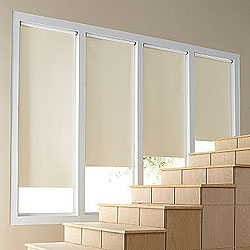 Reminiscent Blackout Vinyl Roller Shades