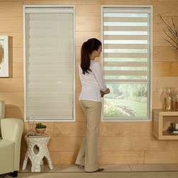 Zebra Light Filtering Dual Sheer Shades