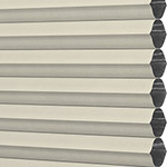 Oyster Pearl